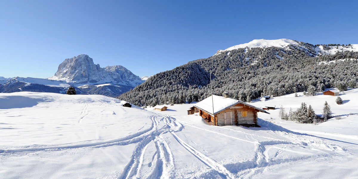 Panorama invernale Val Gardena